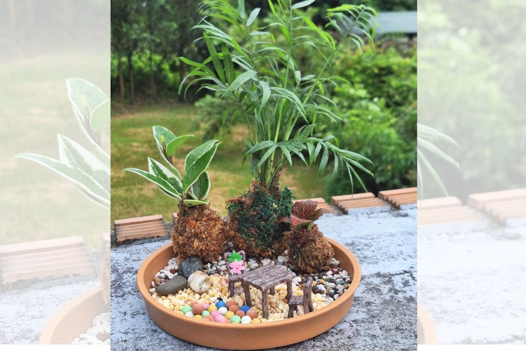 03/17(一)樂活園藝-【苔球小花園】(須能全程參與喔！)