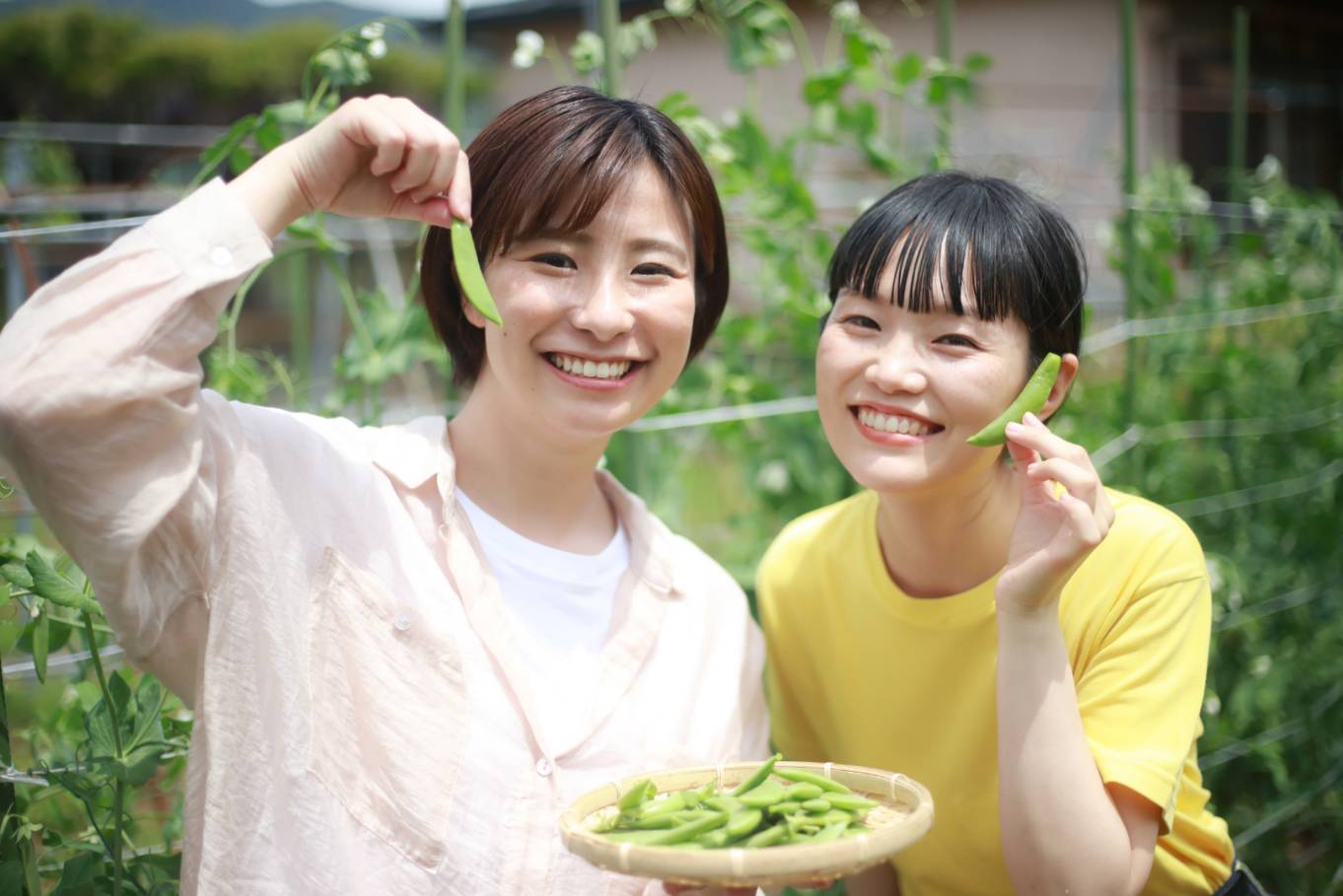 07/29(二) 【悠遊農藝-親子同樂採毛豆】(親子場)(須能全程參與喔！)
